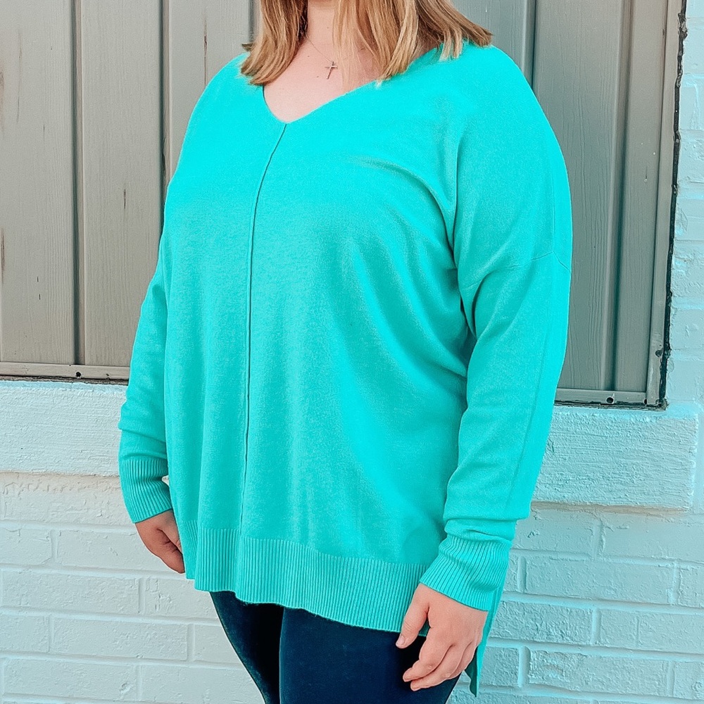 BNWT Hi-Low Tunic Sweater